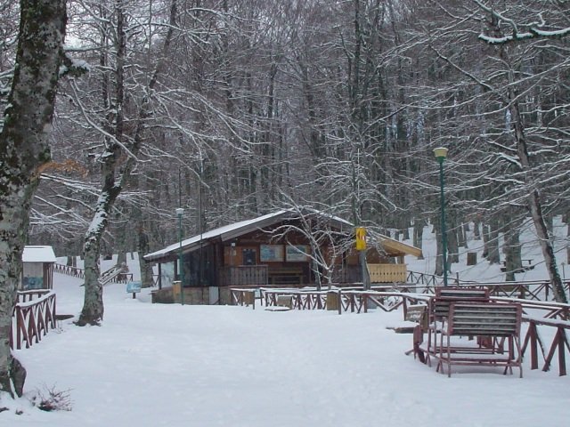 Il Museo del lupo